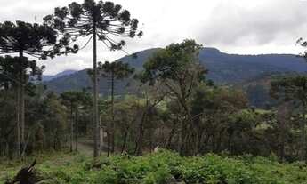 Imagem 3: Urubici - Terreno
