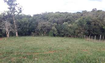 Imagem 3: CHÁCARA 4.7 HEC - 15KM DE BRAZLÂNDIA