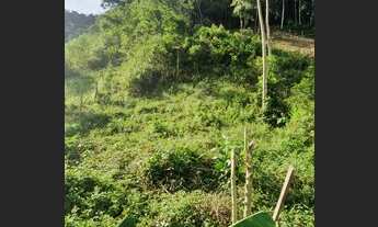 Imagem 3: Lote na Benfica, próximo a igreja