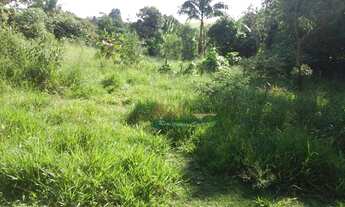 Imagem 5: Terreno à venda, 500 m² por R$ 85.000,00 - Goiabal - Pindamonhangaba/SP