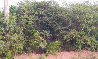 Imagem 3: Terreno à venda, 360 m² por R$ 69.000,00 - Francisco Figueira - Garanhuns/PE