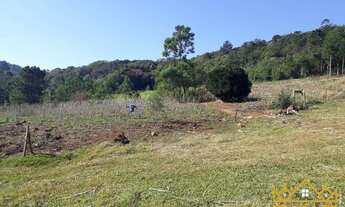 Imagem 4: Sítio / Chácara para Venda em São Francisco de Paula, Recosta, 2 dormitórios, 1 banheiro