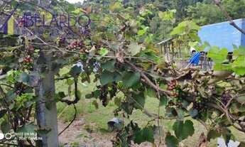 Imagem 7: Blumenau - Sítio - Velha Central