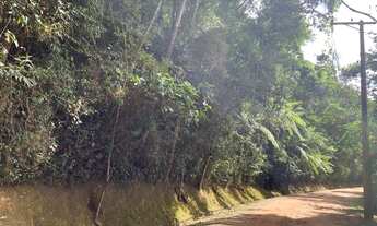 Imagem 4: Vista exuberante