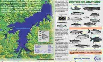 Imagem 3: Terreno sítio em Silva Jardim com 3300m2 perto de juturnaiba