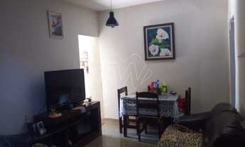 Imagem 4: Venda de Casas / Padrão na cidade de Araraquara