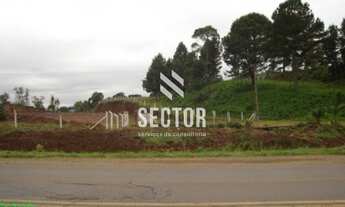 Imagem 3: Terrenos à venda em União da Vitoria