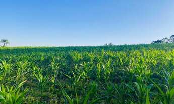 Imagem 2: W.N.S CONQUISTE SEU SONHO DE UM LUGAR TRANQUILO EM IBIÚNA