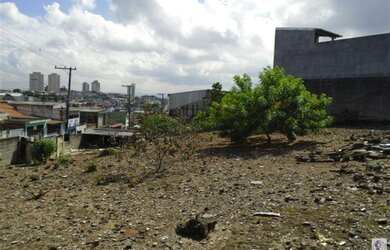 Imagem 3: SãO PAULO - Terreno Padrão - Parque Cruzeiro Do Sul