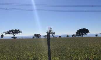 Imagem 2: Sítio / Chácara para Venda em Abadiânia / GO - 2331024