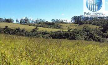 Imagem: Sítio 11 Alq. Paulista, Para Café, Milho