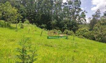 Imagem 3: Terreno à venda, 20000 m² por R$ 350.000,00 - Centro - Biritiba-Mirim/SP