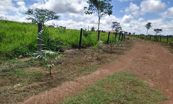 Imagem 5: Fazenda para pecuária com 58 alqueires de terra em Tucumã no Pará