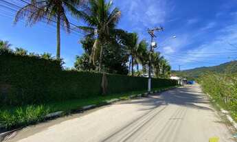 Imagem 4: Lotes de 302 m2 limpos e com documentação OK na estufa 2