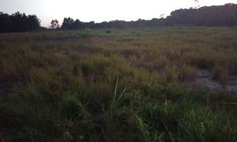 Imagem: Terreno industrial com ótima localização