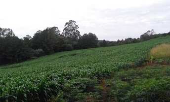 Imagem 4: Vendo exelente chácara em são Brás