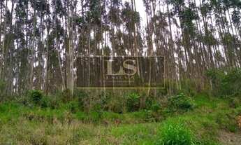 Imagem 6: SÍTIO EM SÃO ROQUE COM 4,5 ALQUEIRES