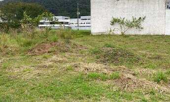 Imagem 2: TERRENO NOVA ESPERANÇA