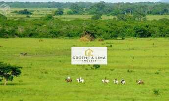 Imagem: Fazenda à venda, 88.000 hectares por R$