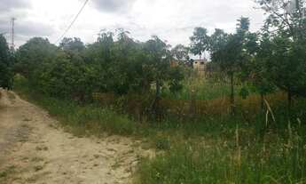 Imagem 3: Lote Jd. Santa Rita de Cassia, parte alta, 257m2 - Capivari - SP