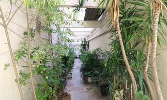 Imagem 3: APARTAMENTO EM HIGIENOPOLIS COM VISTA PARA A PRACA BUENOS AIRES