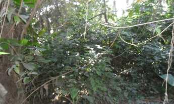 Imagem: Terreno residencial à venda, Engenho do