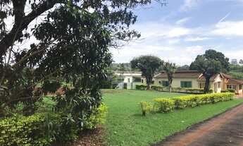 Imagem 6: RIBEIRãO PRETO - Padrão - Vila Virgínia