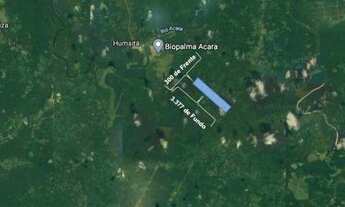 Imagem: Terreno rural - 100 hectares - Acará, Acará/PA