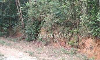 Imagem 7: Terreno à venda, 1115 m² por R$ 110.000,00 - Parque Petrópolis - Mairiporã/SP