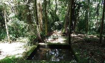 Imagem 3: Sítio com 3 dormitórios à venda, 128000 m² por R$ 1.600.000,00 - Centro - São Francisco Xa