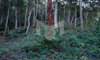 Imagem: Terreno residencial à venda, Pedro do Rio