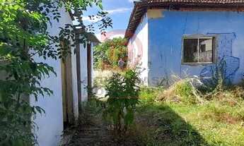 Imagem 7: Terreno plano 10x50m - Vila Ré