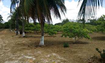 Imagem 3: Terreno à venda, 41.475 m² por R$ 1.200.000 - Pecém - São Gonçalo do Amarante/CE