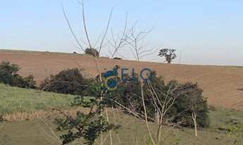 Imagem 5: LINDA ÁREA RURAL EM RIO CLARO NO BAIRRO CAMPO DO COXO!