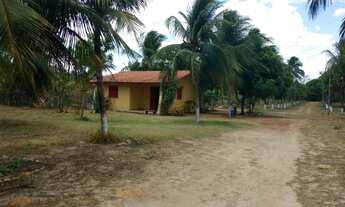 Imagem 2: Terreno à venda, 41.475 m² por R$ 1.200.000 - Pecém - São Gonçalo do Amarante/CE