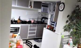 Imagem 4: PELOTAS - Padrão - Centro