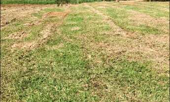 Imagem 3: Vendo meu terreno para você de Guarulhos