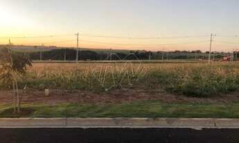 Imagem 2: Venda de Terreno / Lote na cidade de Araraquara