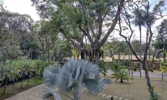 Imagem 5: Oportunidade no condomínio Estância das Amendoeiras, casa 06 quartos, sendo 03 suítes, com