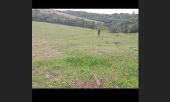 Imagem 4: Vendo sítio 7 alqueires em Nova Cantu