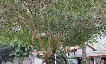 Imagem 5: SÃO SEBASTIÃO - Casa Padrão - BAREQUEÇABA