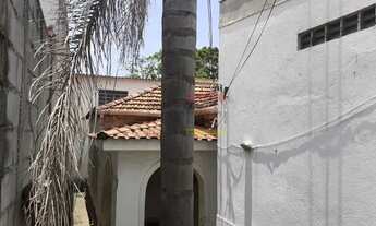 Imagem 6: Casa Térrea antiga vale terreno V. Gustavo