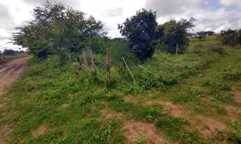 Imagem 7: Fazenda Escriturada (RGI), com 62 tarefas, Barreira da Pedra - Filadélfia