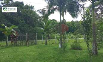 Imagem 7: Chácara à venda no bairro Braço da Figueira - Antonina/PR