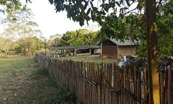 Imagem 3: Vendo Chácara em Patrocinio de Muriaé/MG - 15.440m²(1,54hectare