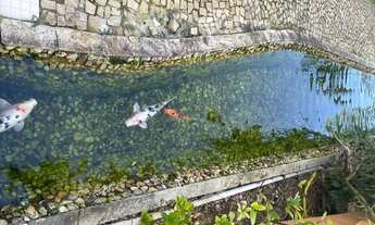 Imagem 7: Oportunidade de ocasião , Cobertura excelente pra venda próximo a Ufsc !