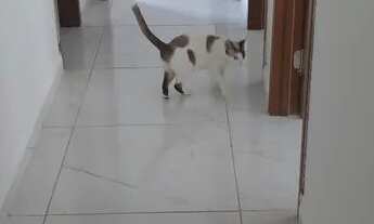 Imagem 2: Alugo apartamento no City park, condomínio incluso