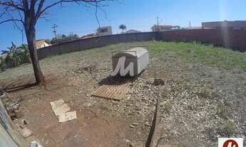 Imagem 4: Terreno (terreno normal