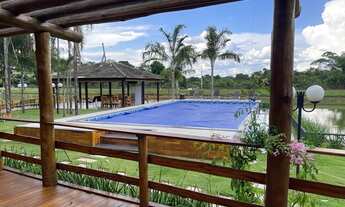 Imagem 6: 19 alqueires - silvania