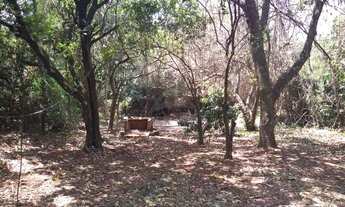 Imagem 5: área - Vila Hollândia - Campinas